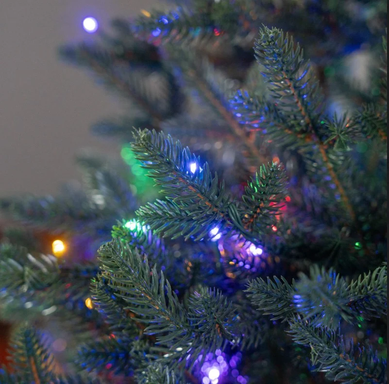 7ft Bellevarde Spruce Pre-Lit Christmas Tree 6845 Tips 1000 LED Lights - Image 4