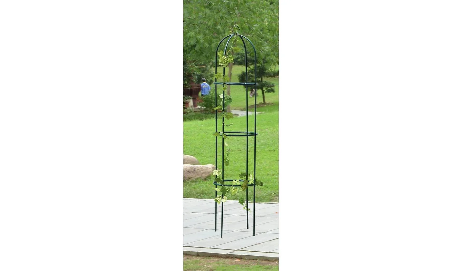 Decorative Obelisk Twin Pack Garden Plant Support Climbing Frame Metal - Image 4