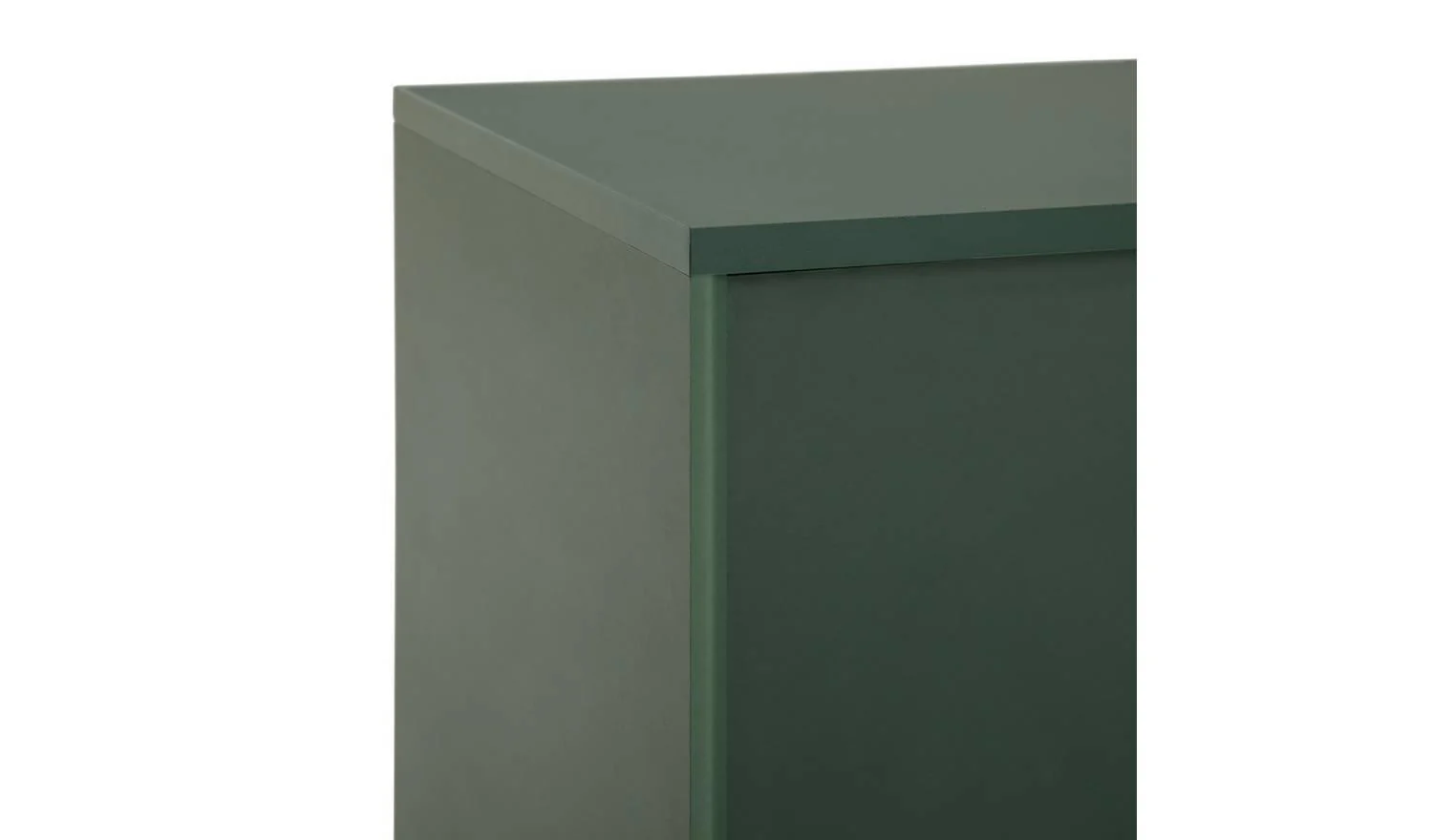 Moana 2 Door TV Unit Green Stylish Media Storage Solution - Image 7